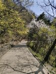 路