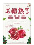 石榴海报