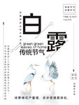 白露             