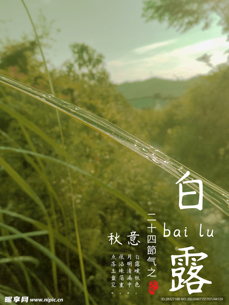 白露             