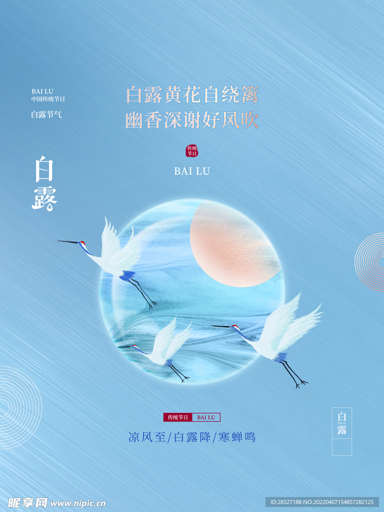 白露             