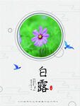 白露             