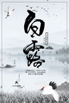白露             