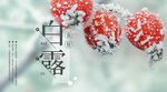 白露             