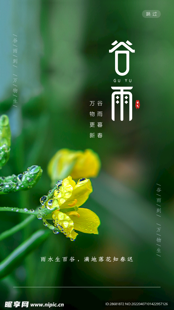 谷雨