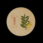 中药草本植物金佛手