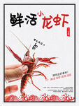 鲜活小龙虾