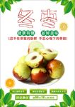 冬枣海报
