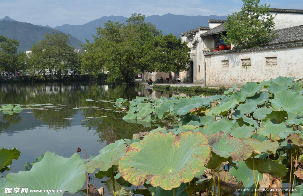 风景