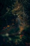 夜晚