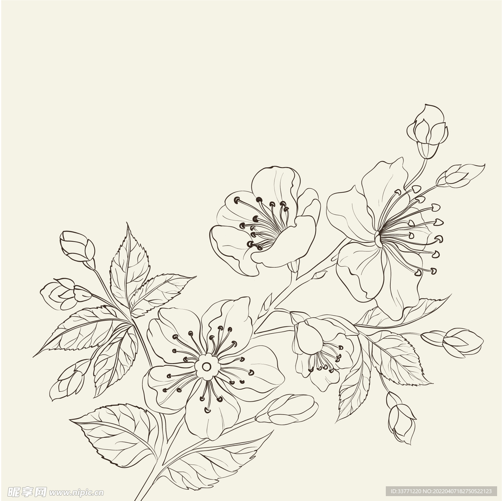白描桃花