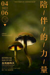 陪伴的力量