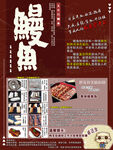 鳗鱼商品介绍