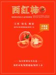西红柿海报