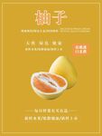 柚子海报