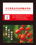 农业名片
