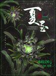 简约透明质感 夏至节气海报
