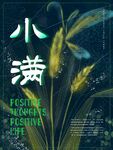简约透明质感 小满节气海报