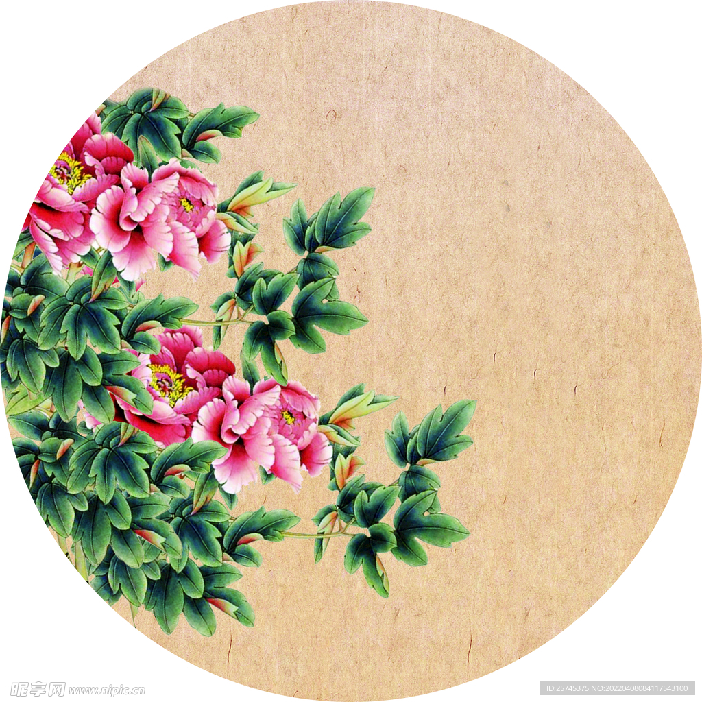 牡丹花