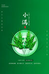 小满