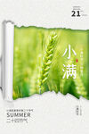 小满