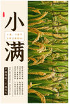 小满