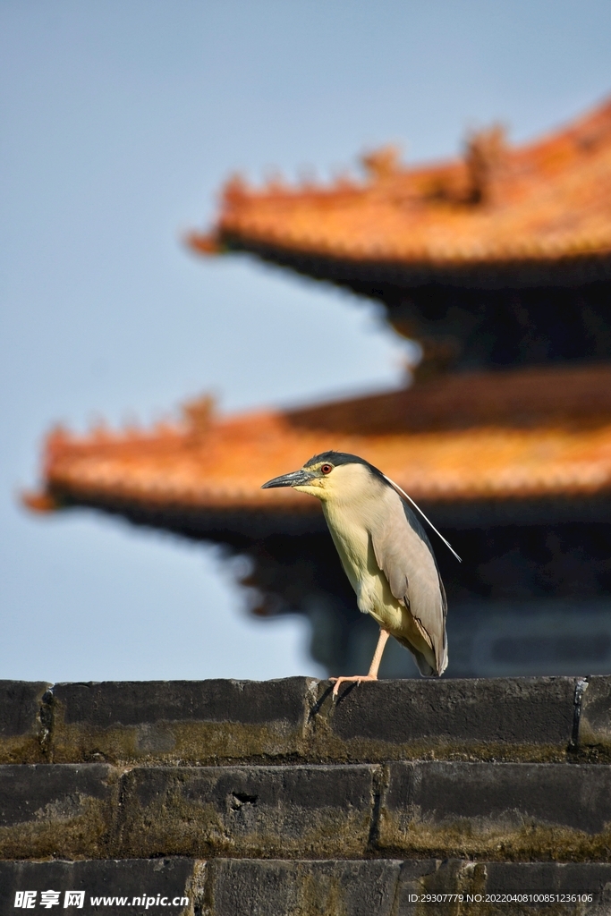 中国风