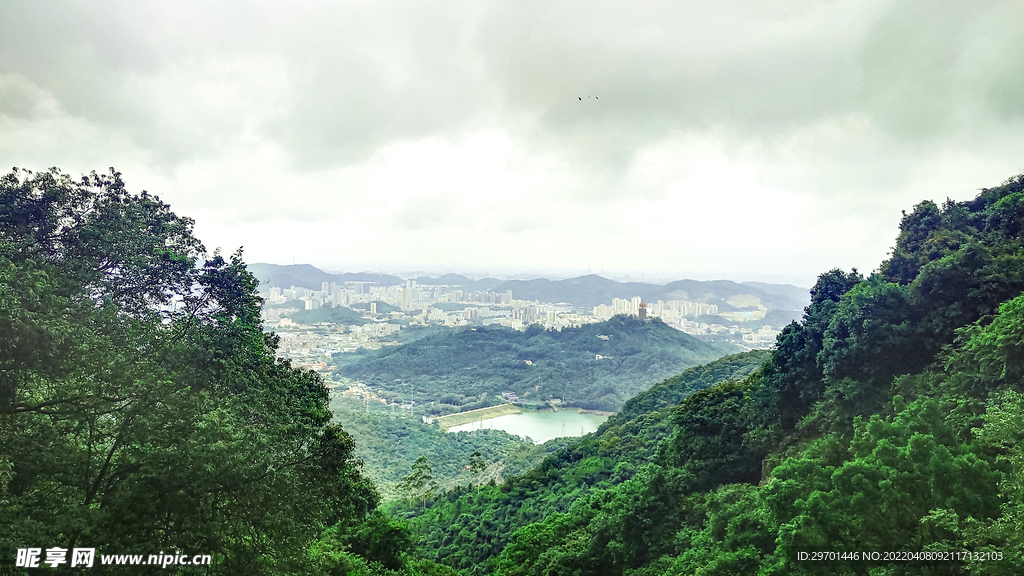 山顶城市风光