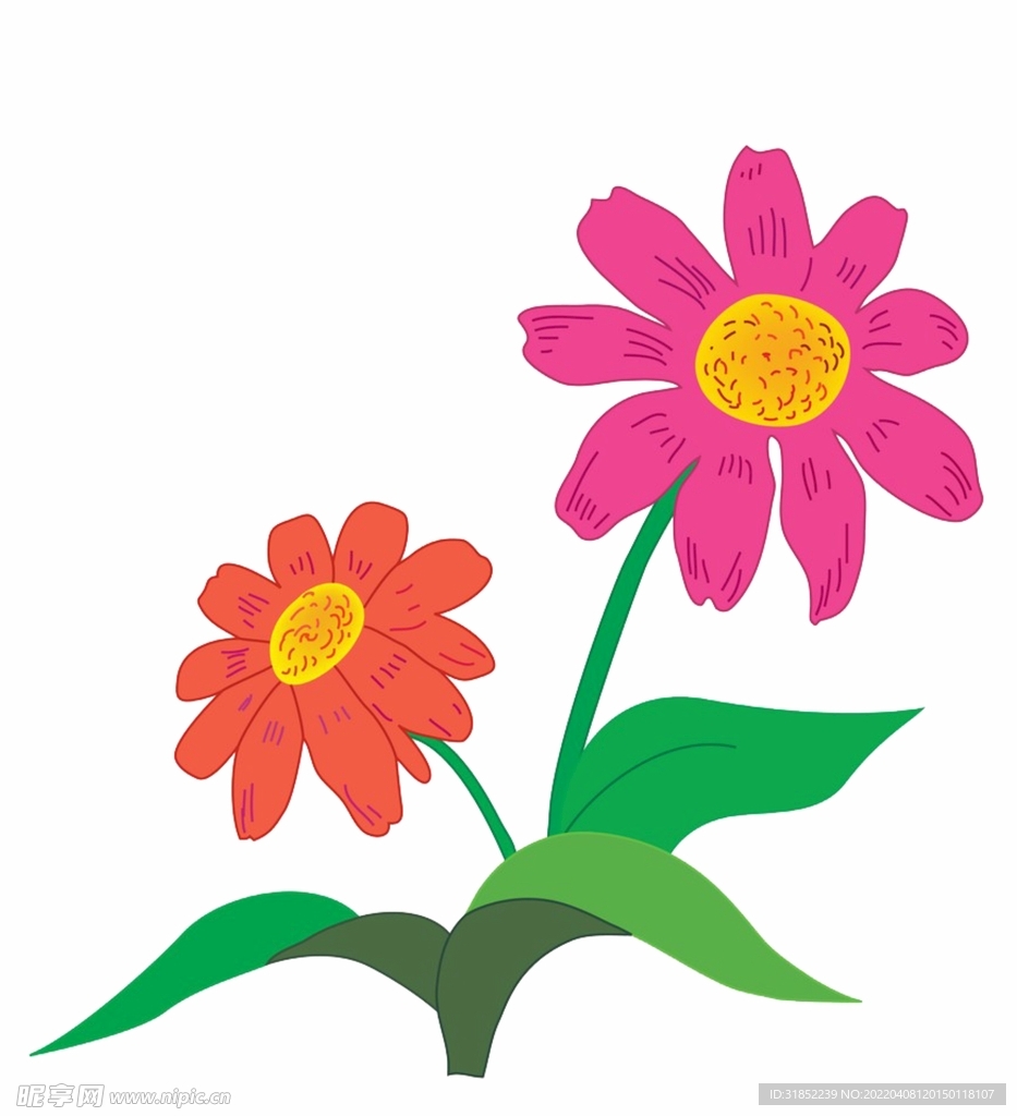 花花