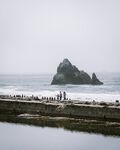 大海