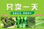 不售隔夜菜