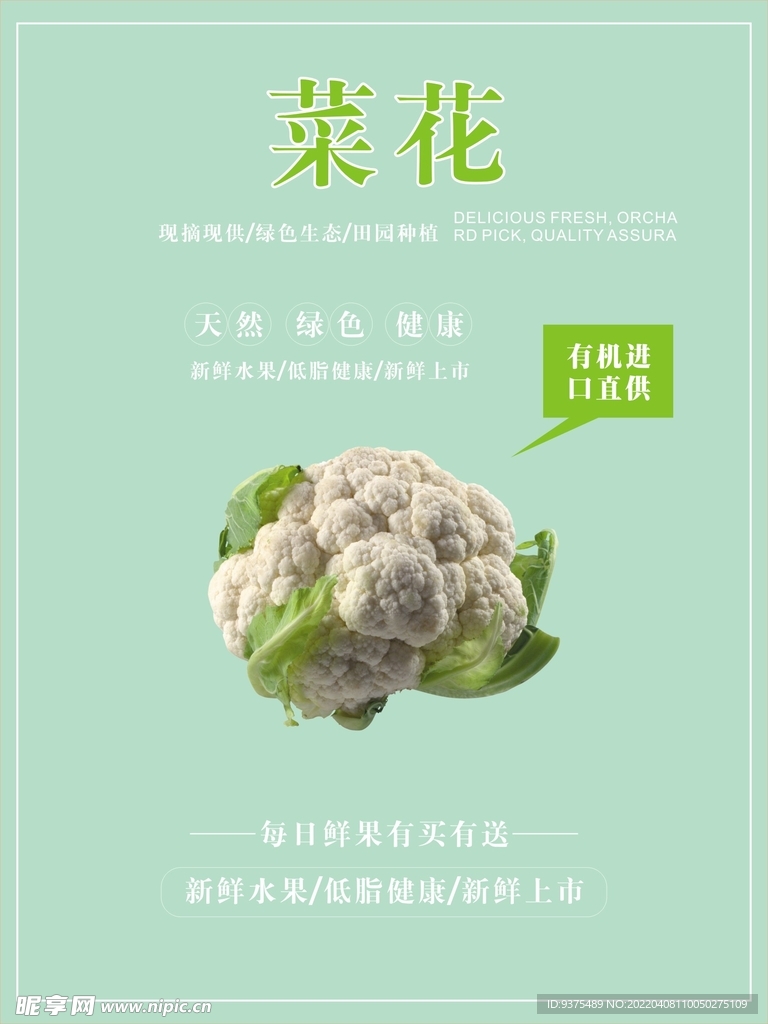 菜花海报