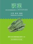 菠菜海报