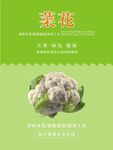 菜花海报