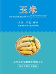 玉米海报