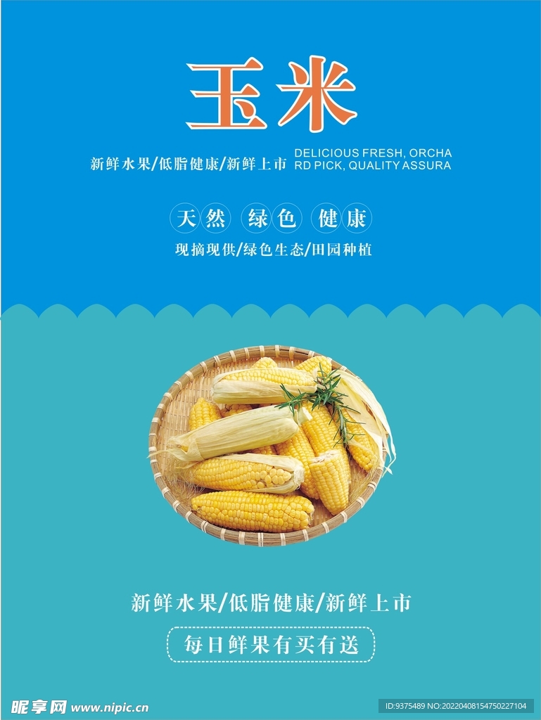玉米海报