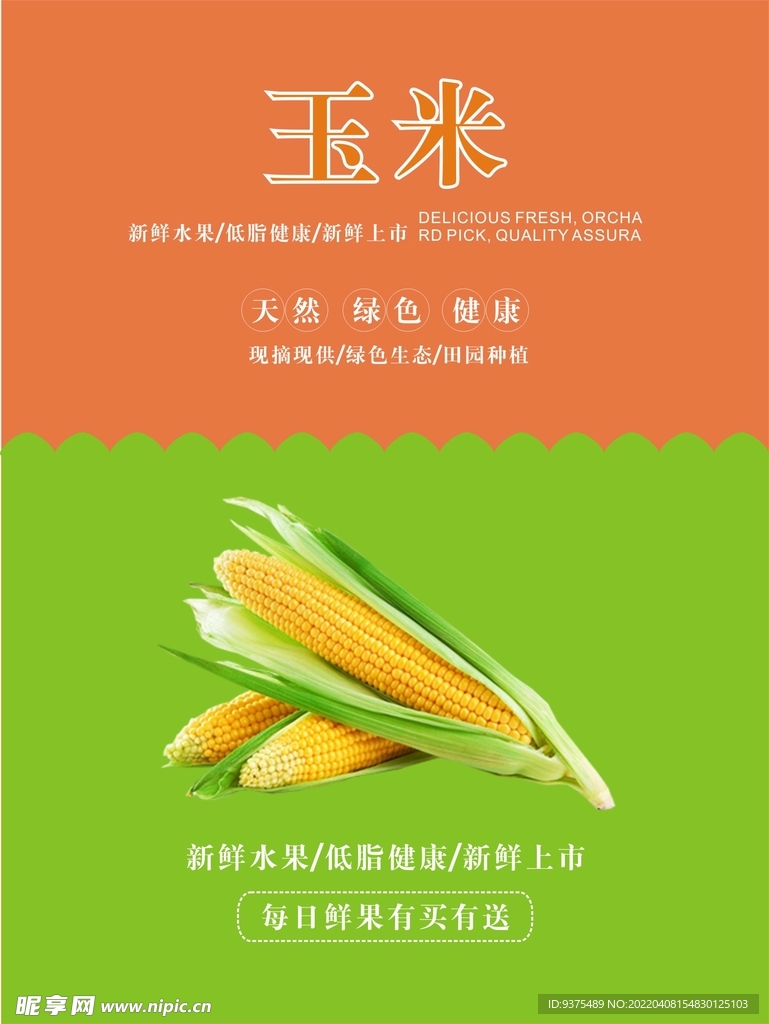 玉米海报