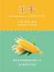 玉米海报