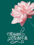 花开