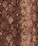 蛇皮 蛇纹 动物纹理 数码印花