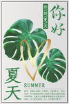 夏天海报