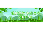 植物造林 绿植