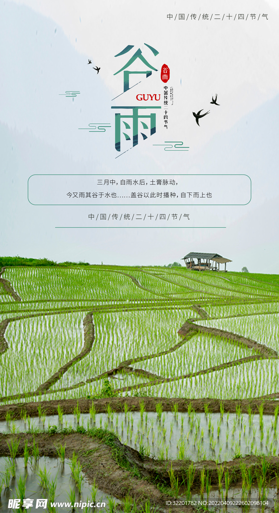 谷雨节气海报