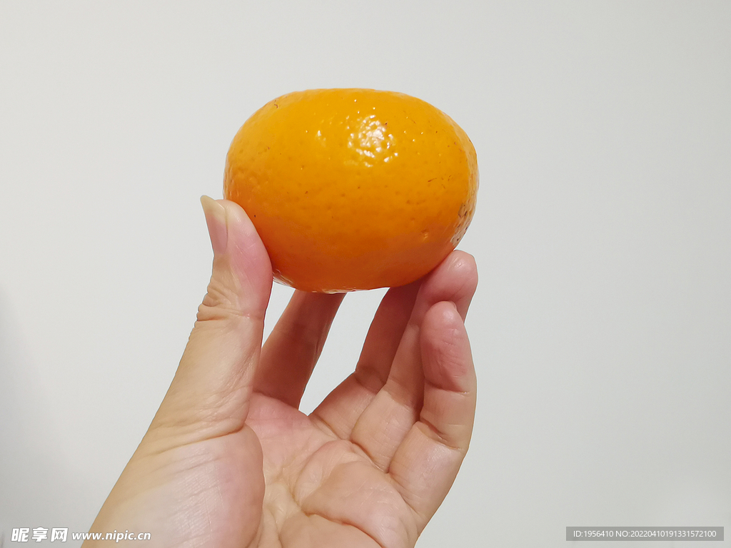 手持水果橙子