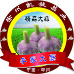 大蒜标logo