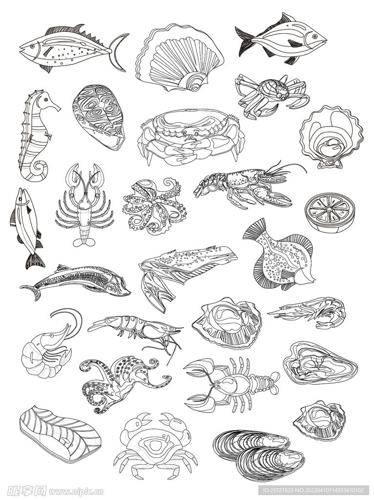 手绘卡通线描海洋生物动物