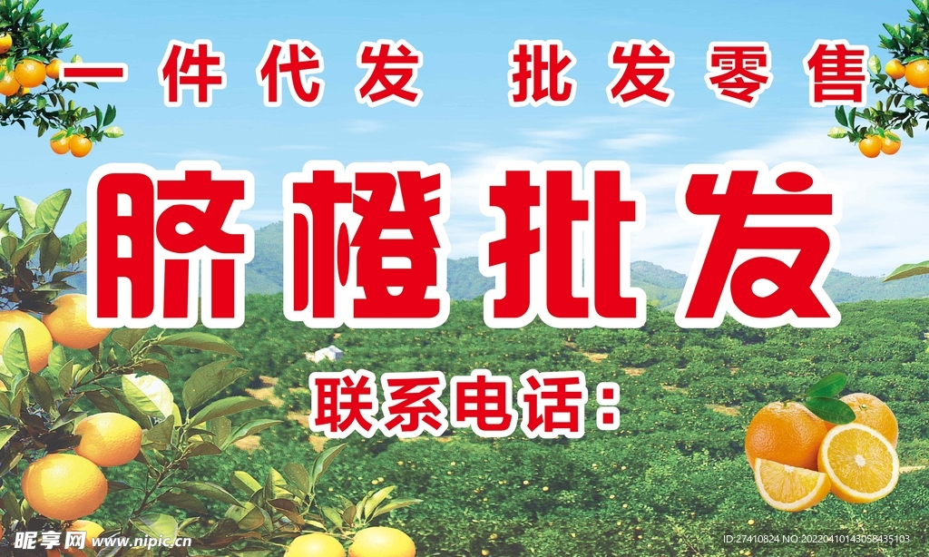 赣南脐橙 