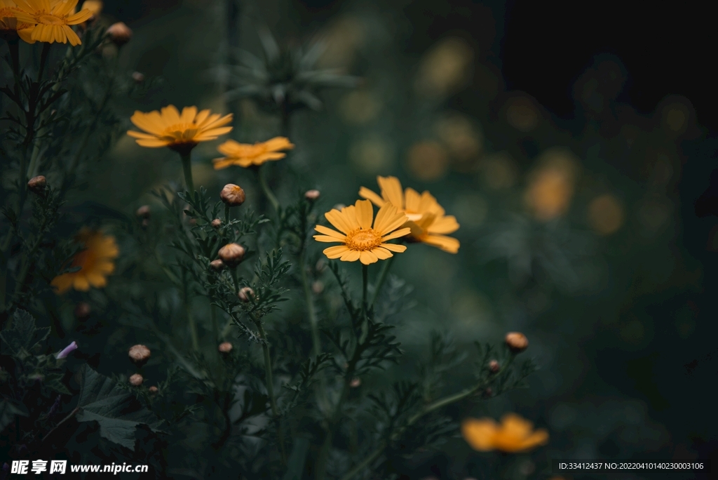 花