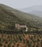 山
