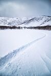 雪地
